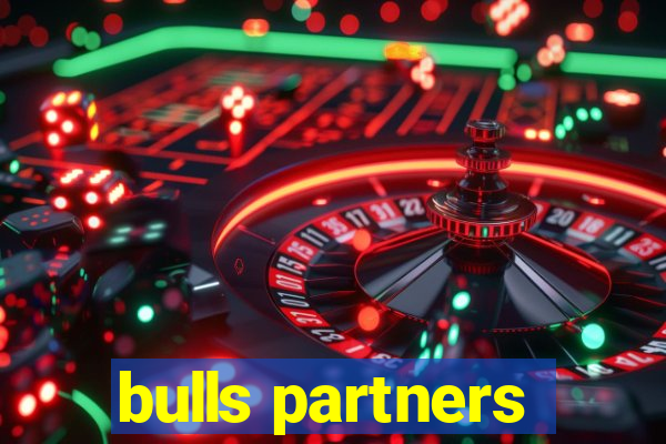 bulls partners